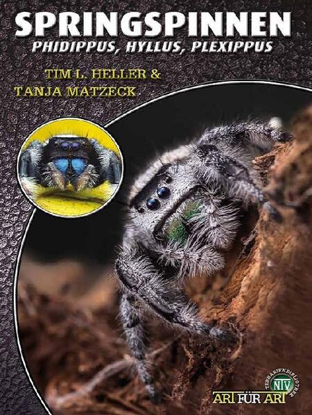 Produktbild: Springspinnen | Tim L. Heller, Tanja Matzeck
