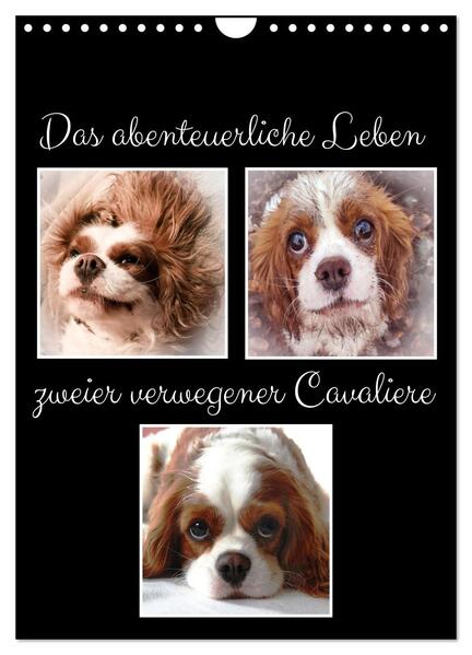 Produktbild: Das abenteuerliche Leben zweier verwegener Cavaliere (Wandkalender 2026 DIN A4 hoch), CALVENDO Monatskalender | Eva Ola Feix, Calvendo