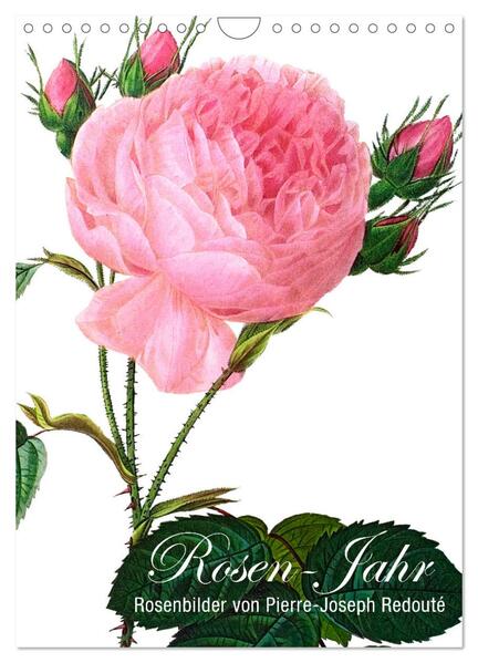 Produktbild: Rosen-Jahr (Wandkalender 2026 DIN A4 hoch), CALVENDO Monatskalender | bilwissedition, Layout: Babette Reek, Calvendo