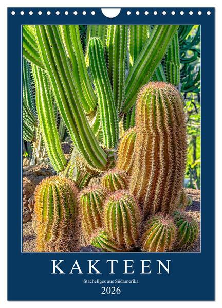 Produktbild: Kakteen - Stacheliges aus Südamerika (Wandkalender 2026 DIN A4 hoch), CALVENDO Monatskalender | Calvendo, Dieter Meyer
