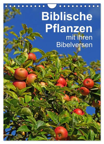 Produktbild: Biblische Pflanzen mit ihren Bibelversen (Wandkalender 2026 DIN A4 hoch), CALVENDO Monatskalender | Calvendo, Hans-Georg Vorndran