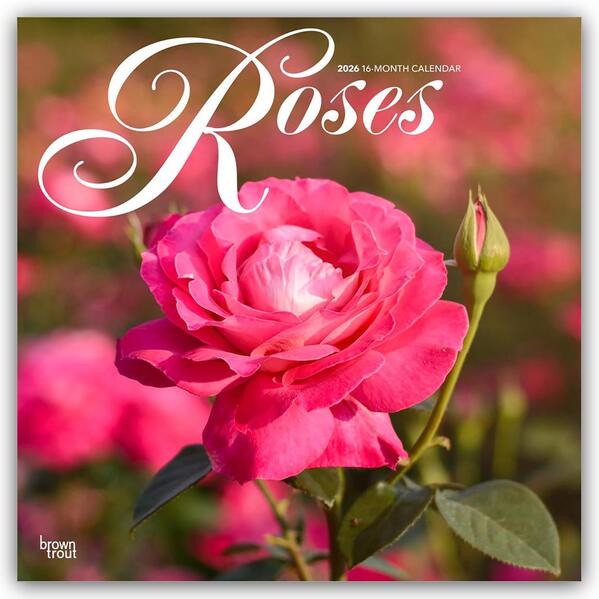 Produktbild: Roses - Rosen 2026 - 16-Monatskalender | Browntrout Publishers