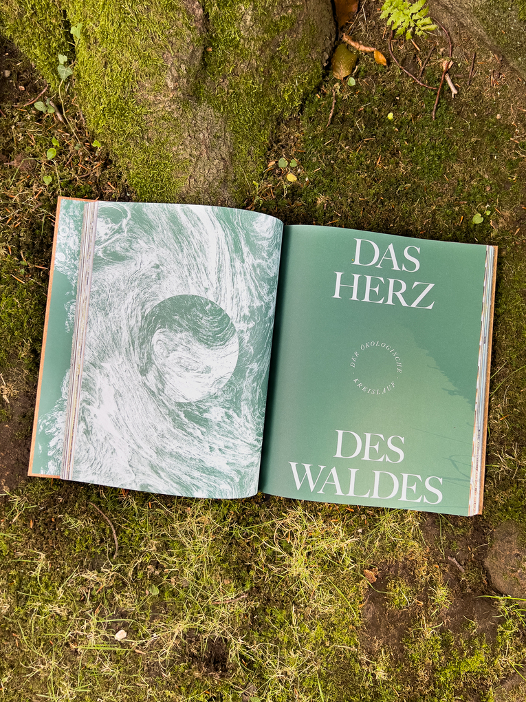 Weitere Ansicht: THE WOODS | Pia Franziska Kraus