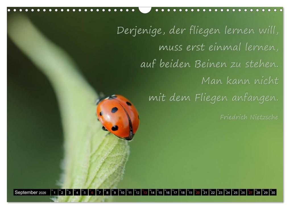 Weitere Ansicht: Das kleine, große Glück (Wandkalender 2026 DIN A3 quer), CALVENDO Monatskalender | Heike Hultsch, Calvendo