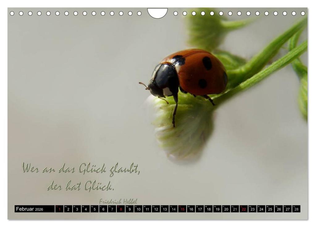Weitere Ansicht: Das kleine, große Glück (Wandkalender 2026 DIN A4 quer), CALVENDO Monatskalender | Heike Hultsch, Calvendo