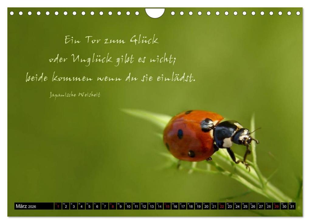 Weitere Ansicht: Das kleine, große Glück (Wandkalender 2026 DIN A4 quer), CALVENDO Monatskalender | Heike Hultsch, Calvendo