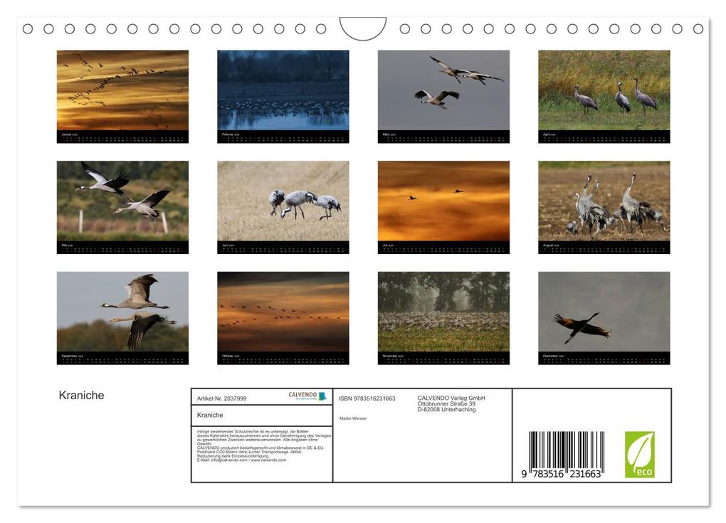 Weitere Ansicht: Kraniche (Wandkalender 2026 DIN A4 quer), CALVENDO Monatskalender | Martin Wenner, Calvendo