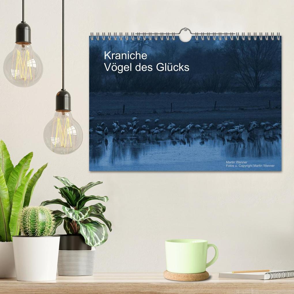 Weitere Ansicht: Kraniche (Wandkalender 2026 DIN A4 quer), CALVENDO Monatskalender | Martin Wenner, Calvendo