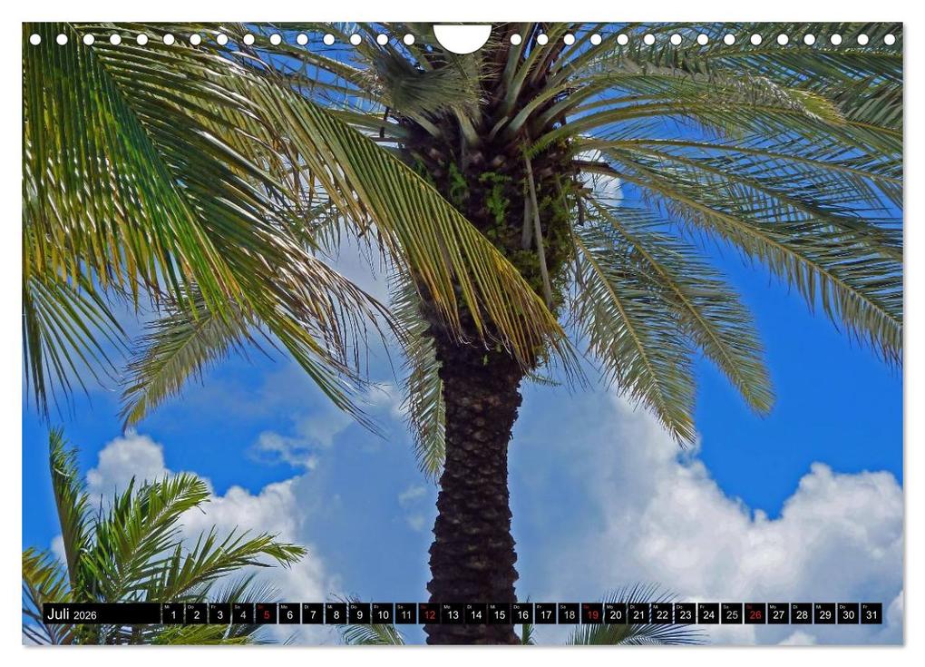 Weitere Ansicht: MIAMI (Wandkalender 2026 DIN A4 quer), CALVENDO Monatskalender | Andrea Damm, Calvendo