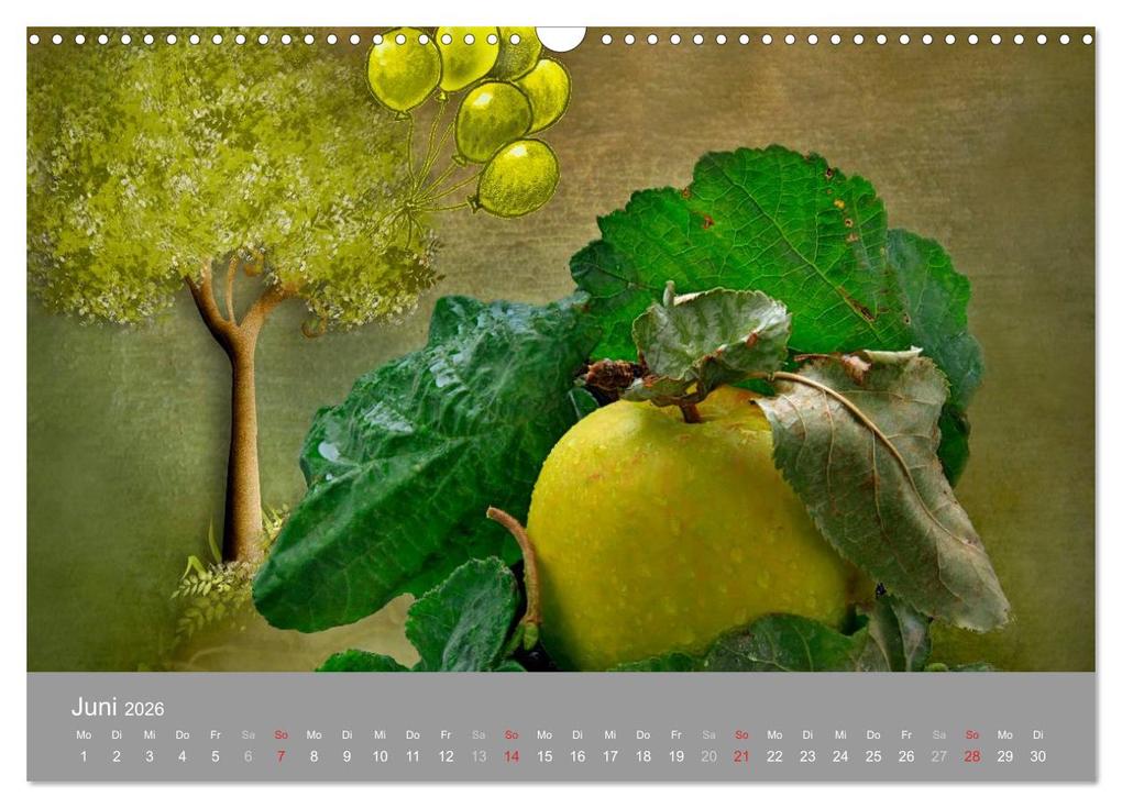 Weitere Ansicht: Obst (Wandkalender 2026 DIN A3 quer), CALVENDO Monatskalender | Manfred Lutzius, Calvendo