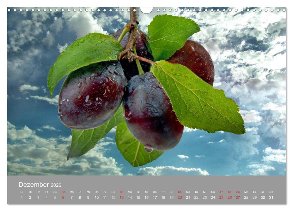 Weitere Ansicht: Obst (Wandkalender 2026 DIN A3 quer), CALVENDO Monatskalender | Manfred Lutzius, Calvendo