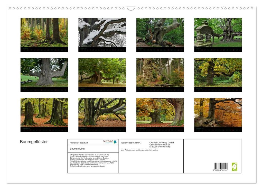 Weitere Ansicht: Baumgeflüster (Wandkalender 2026 DIN A2 quer), CALVENDO Monatskalender | Uwe Wittbrock, Calvendo