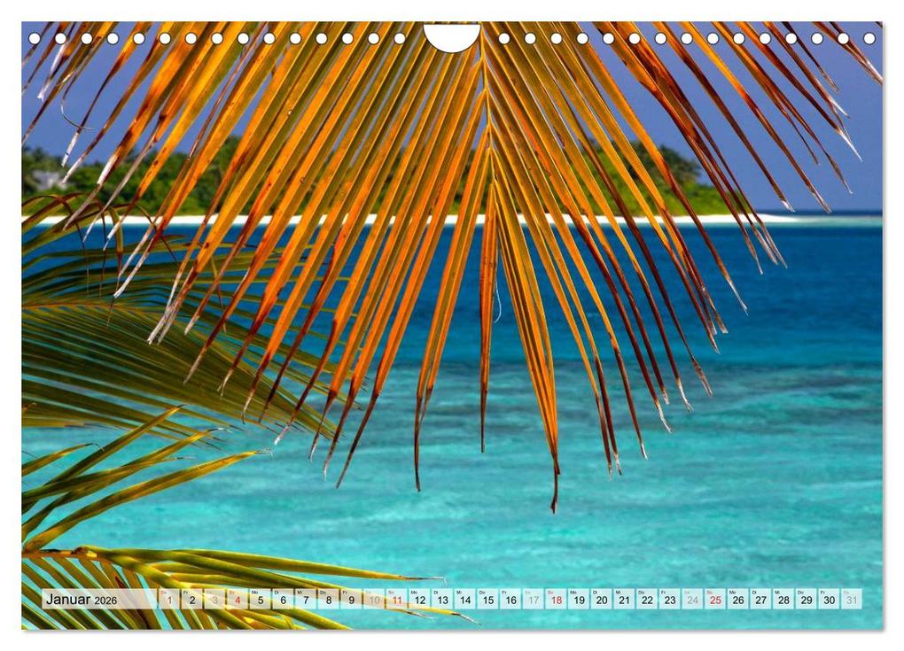 Weitere Ansicht: MALEDIVEN (Wandkalender 2026 DIN A4 quer), CALVENDO Monatskalender | www.bild-erzaehler.com, Thomas Herzog, Calvendo
