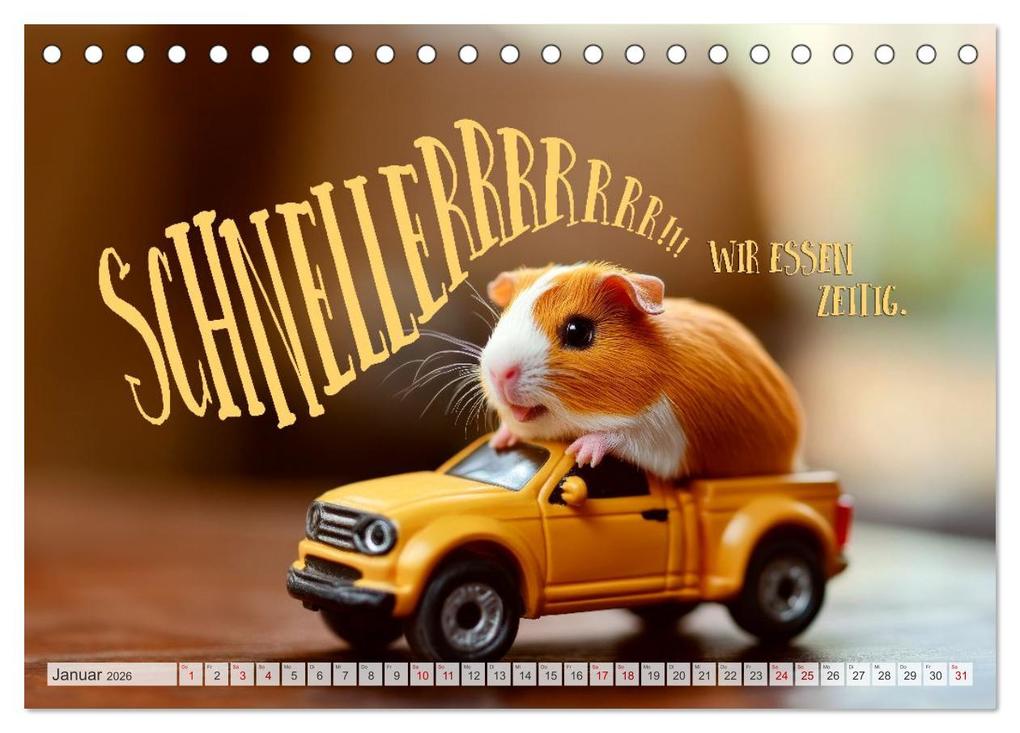 Weitere Ansicht: Meerschweinchen LUSTIG DURCHS JAHR (Tischkalender 2026 DIN A5 quer), CALVENDO Monatskalender | Melanie Viola, Calvendo