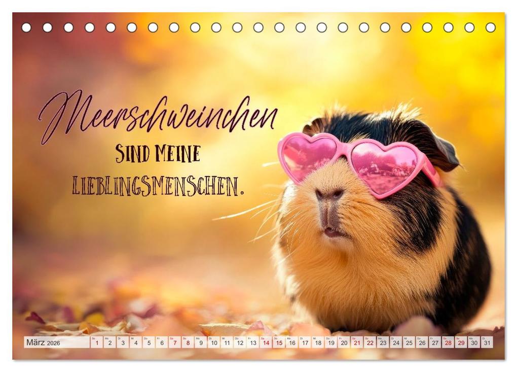 Weitere Ansicht: Meerschweinchen LUSTIG DURCHS JAHR (Tischkalender 2026 DIN A5 quer), CALVENDO Monatskalender | Melanie Viola, Calvendo