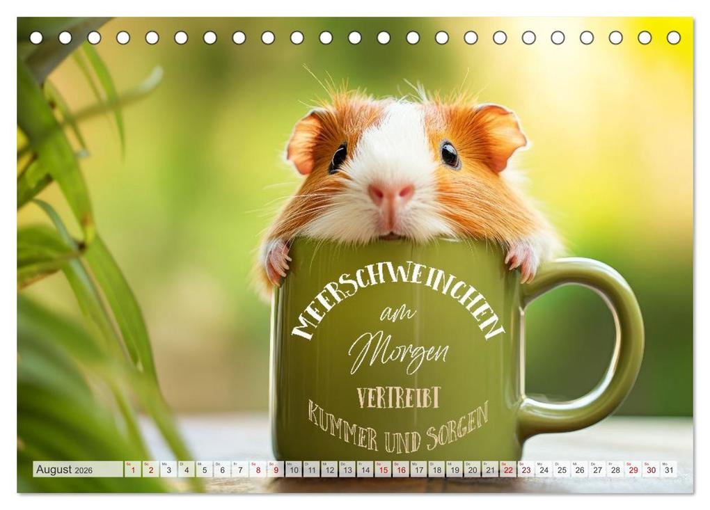 Weitere Ansicht: Meerschweinchen LUSTIG DURCHS JAHR (Tischkalender 2026 DIN A5 quer), CALVENDO Monatskalender | Melanie Viola, Calvendo