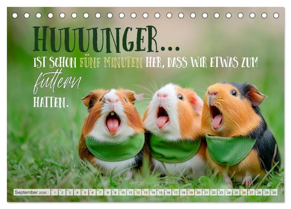 Weitere Ansicht: Meerschweinchen LUSTIG DURCHS JAHR (Tischkalender 2026 DIN A5 quer), CALVENDO Monatskalender | Melanie Viola, Calvendo