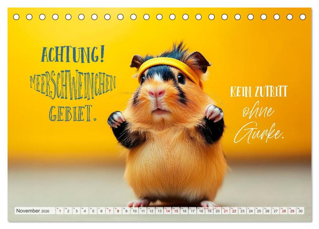 Weitere Ansicht: Meerschweinchen LUSTIG DURCHS JAHR (Tischkalender 2026 DIN A5 quer), CALVENDO Monatskalender | Melanie Viola, Calvendo