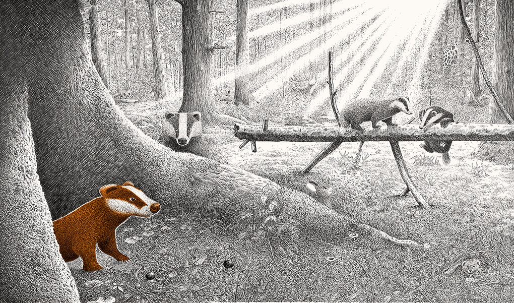 Weitere Ansicht: Versteckt im Wald | Philippe Jalbert