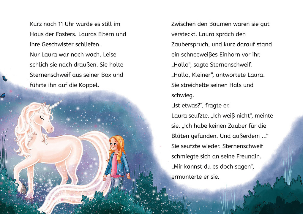 Weitere Ansicht: Sternenschweif, Bücherhelden 2. Klasse, Fest auf dem Ponyhof | Linda Chapman, Anne Scheller