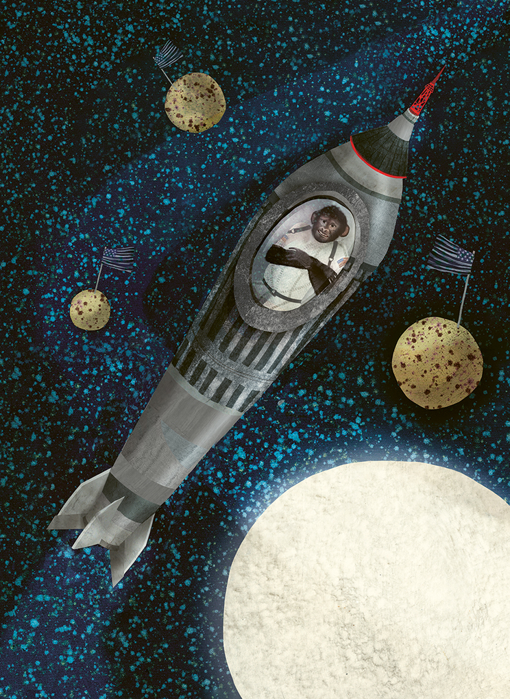 Weitere Ansicht: Eine kleine Geschichte der Menschheit von Tieren erzählt | Joukje Akveld