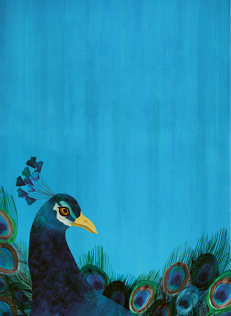 Weitere Ansicht: Eine kleine Geschichte der Menschheit von Tieren erzählt | Joukje Akveld