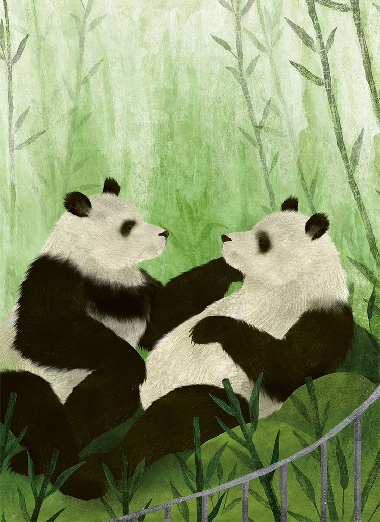 Weitere Ansicht: Eine kleine Geschichte der Menschheit von Tieren erzählt | Joukje Akveld