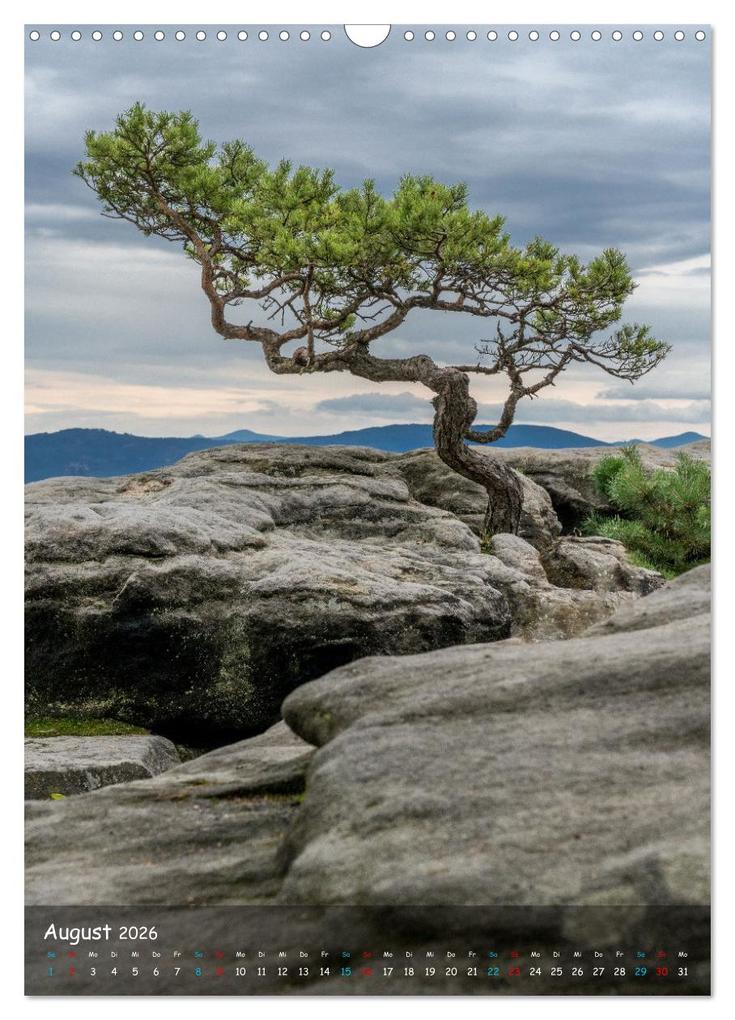 Weitere Ansicht: Höhepunkte der Sächsischen Schweiz (Wandkalender 2026 DIN A3 hoch), CALVENDO Monatskalender | Natalja Maibach und Michael Borgulat, Calvendo