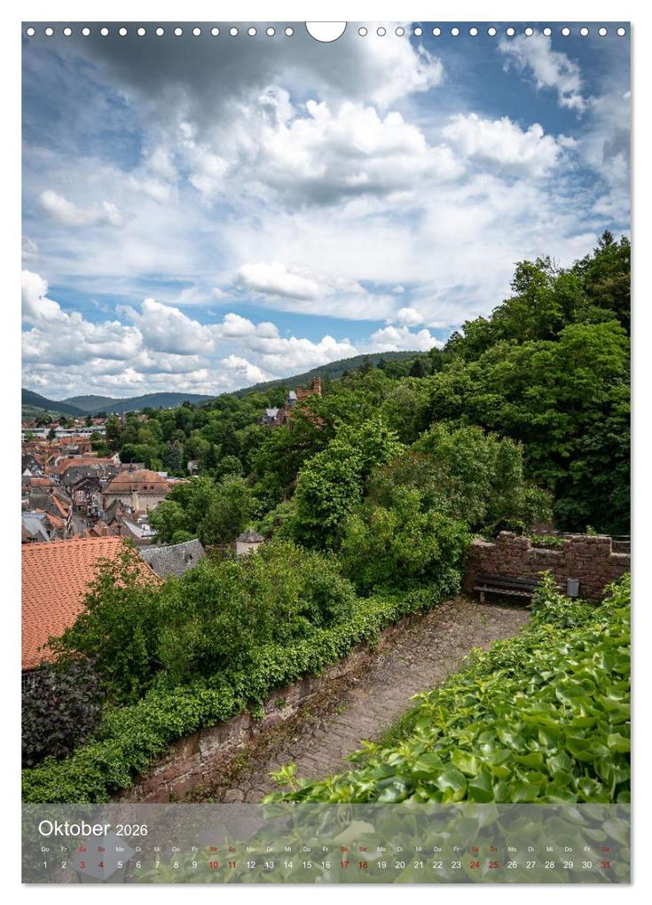 Weitere Ansicht: Miltenberg am Mainviereck (Wandkalender 2026 DIN A3 hoch), CALVENDO Monatskalender | Sascha Haas Photography, Calvendo