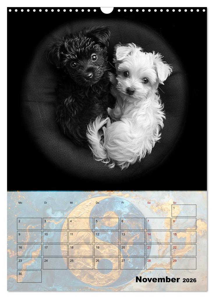 Weitere Ansicht: Sei das Yin zu meinem Yang (Wandkalender 2026 DIN A3 hoch), CALVENDO Monatskalender | Calvendo, Kerstin Waurick