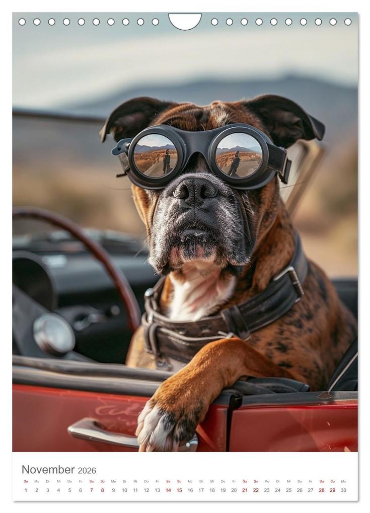 Weitere Ansicht: Boxer - Liebenswerte Kasperköpfe (Wandkalender 2026 DIN A4 hoch), CALVENDO Monatskalender | Calvendo, Cathrin Illgen