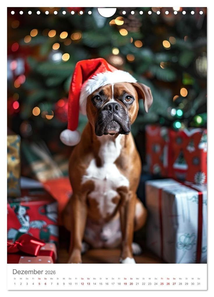Weitere Ansicht: Boxer - Liebenswerte Kasperköpfe (Wandkalender 2026 DIN A4 hoch), CALVENDO Monatskalender | Calvendo, Cathrin Illgen