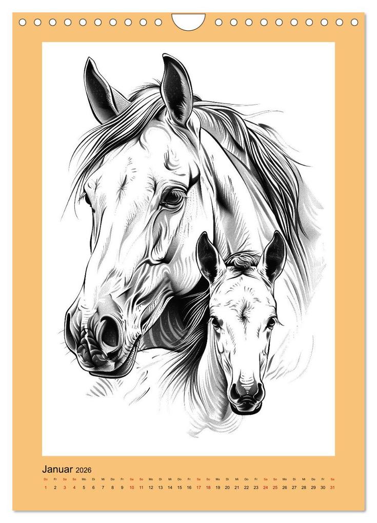 Weitere Ansicht: Pferde minimalistisch (Wandkalender 2026 DIN A4 hoch), CALVENDO Monatskalender | Calvendo, Kerstin Waurick