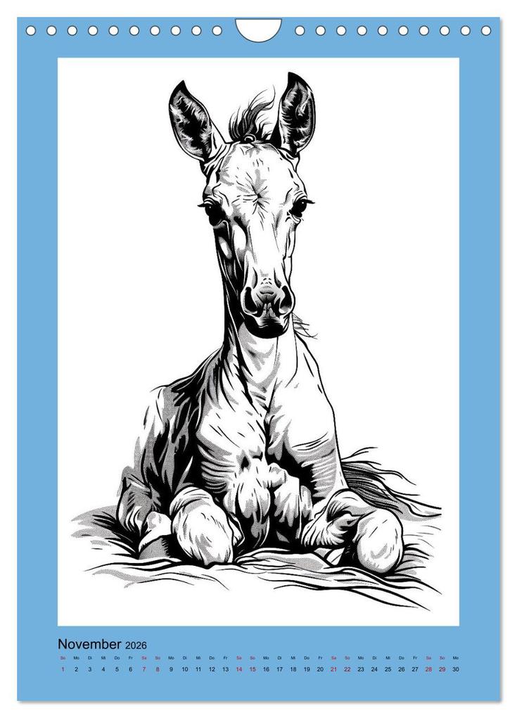 Weitere Ansicht: Pferde minimalistisch (Wandkalender 2026 DIN A4 hoch), CALVENDO Monatskalender | Calvendo, Kerstin Waurick