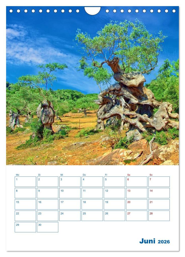 Weitere Ansicht: Sóller auf Mallorca - Terminplaner (Wandkalender 2026 DIN A4 hoch), CALVENDO Monatskalender | Calvendo, Holger Felix