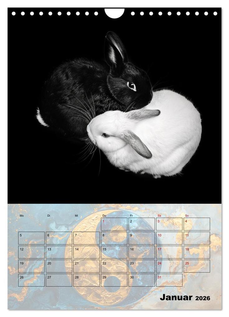 Weitere Ansicht: Sei das Yin zu meinem Yang (Wandkalender 2026 DIN A4 hoch), CALVENDO Monatskalender | Calvendo, Kerstin Waurick