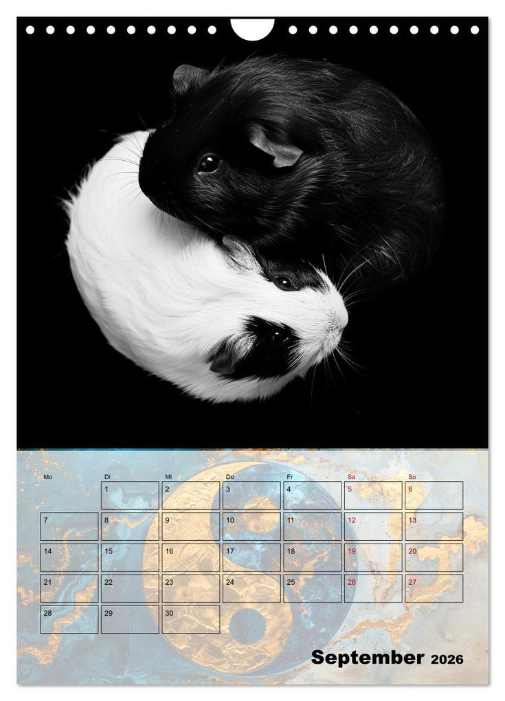 Weitere Ansicht: Sei das Yin zu meinem Yang (Wandkalender 2026 DIN A4 hoch), CALVENDO Monatskalender | Calvendo, Kerstin Waurick