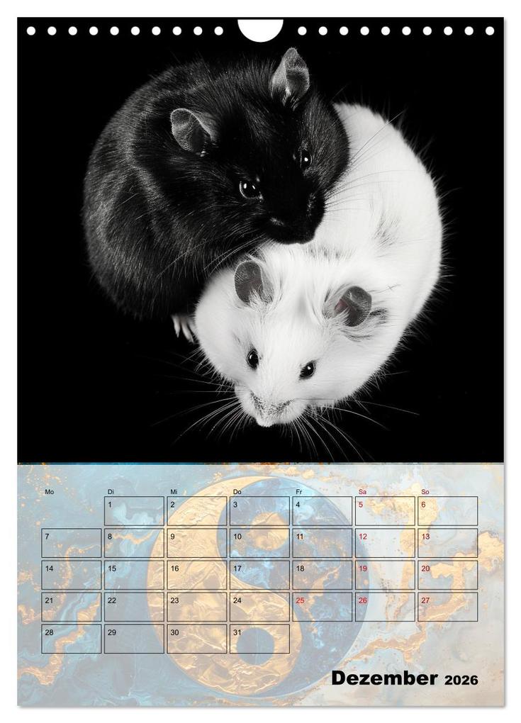Weitere Ansicht: Sei das Yin zu meinem Yang (Wandkalender 2026 DIN A4 hoch), CALVENDO Monatskalender | Calvendo, Kerstin Waurick