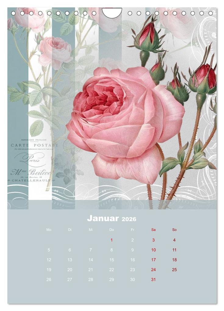 Weitere Ansicht: Rosencollagen mit Rosen von Pierre-Joseph Redouté (Wandkalender 2026 DIN A4 hoch), CALVENDO Monatskalender | Calvendo, Christine B-B Müller