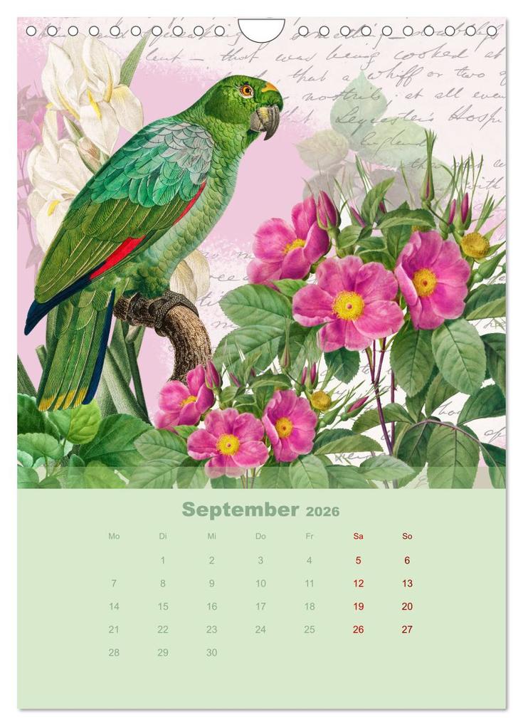 Weitere Ansicht: Rosencollagen mit Rosen von Pierre-Joseph Redouté (Wandkalender 2026 DIN A4 hoch), CALVENDO Monatskalender | Calvendo, Christine B-B Müller