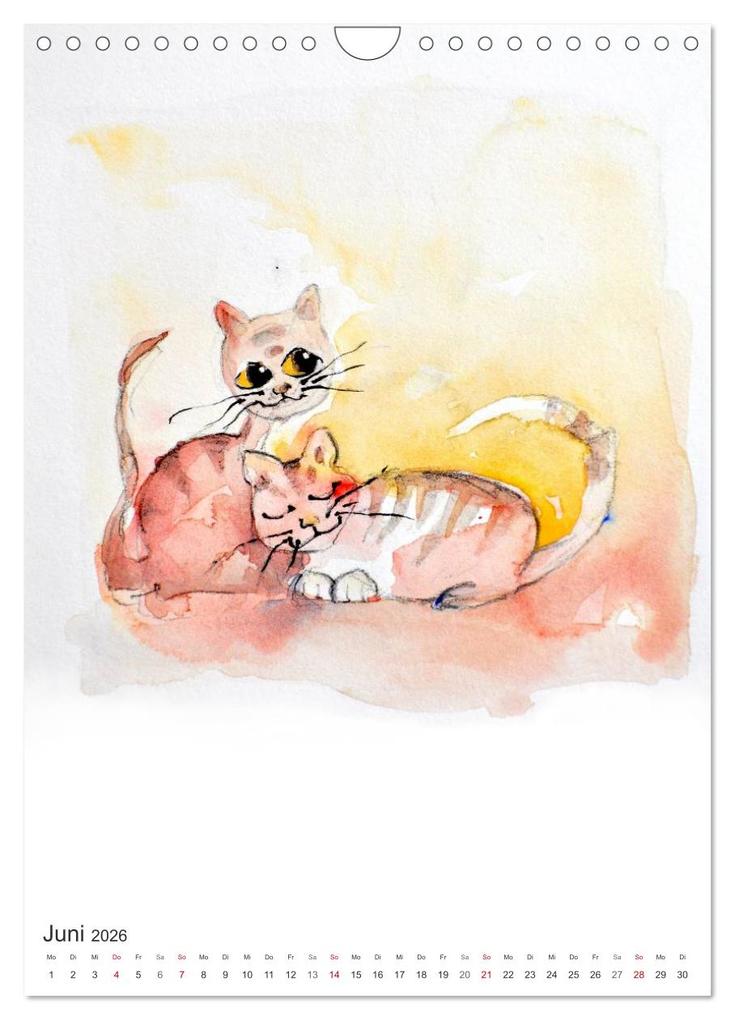 Weitere Ansicht: CATS - silent moments, besinnliche Momente (Wandkalender 2026 DIN A4 hoch), CALVENDO Monatskalender | Sabine Floner, Calvendo