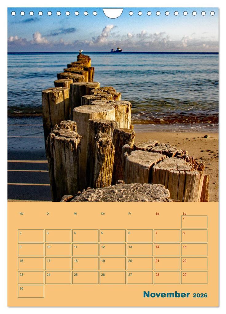 Weitere Ansicht: Ostseebad Kühlungsborn Terminplaner (Wandkalender 2026 DIN A4 hoch), CALVENDO Monatskalender | Holger Felix, Calvendo
