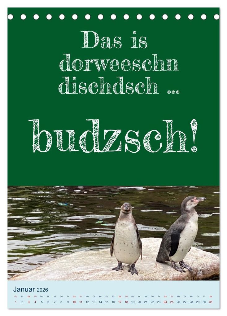 Weitere Ansicht: Ni schwäbborn! Mundart und Dialekt Kalender Sachsen (Tischkalender 2026 DIN A5 hoch), CALVENDO Monatskalender | Sächsmaschine Sächsmaschine, Calvendo, Sächsmaschine