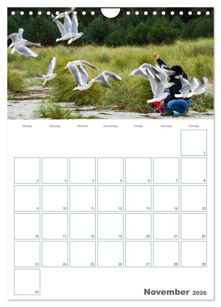 Weitere Ansicht: Ostseebad Prerow - Darßer Momente - Terminplaner (Wandkalender 2026 DIN A4 hoch), CALVENDO Monatskalender | Holger Felix, Calvendo