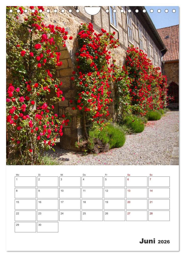 Weitere Ansicht: Blankenburg am Harz - Terminplaner (Wandkalender 2026 DIN A4 hoch), CALVENDO Monatskalender | Holger Felix, Calvendo