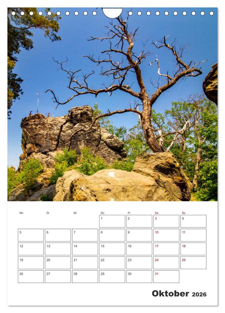Weitere Ansicht: Blankenburg am Harz - Terminplaner (Wandkalender 2026 DIN A4 hoch), CALVENDO Monatskalender | Holger Felix, Calvendo