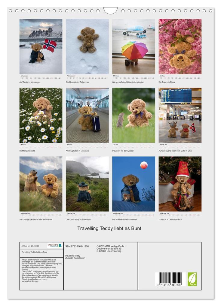 Weitere Ansicht: Travelling Teddy liebt es Bunt (Wandkalender 2026 DIN A3 hoch), CALVENDO Monatskalender | Christian Kneidinger, Calvendo