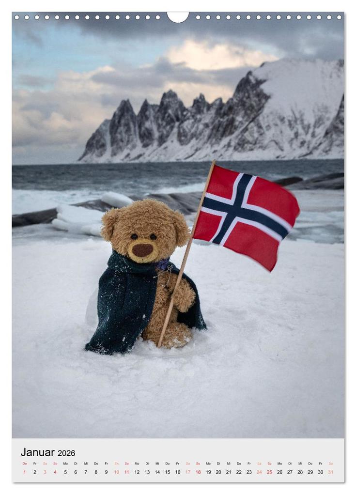 Weitere Ansicht: Travelling Teddy liebt es Bunt (Wandkalender 2026 DIN A3 hoch), CALVENDO Monatskalender | Christian Kneidinger, Calvendo