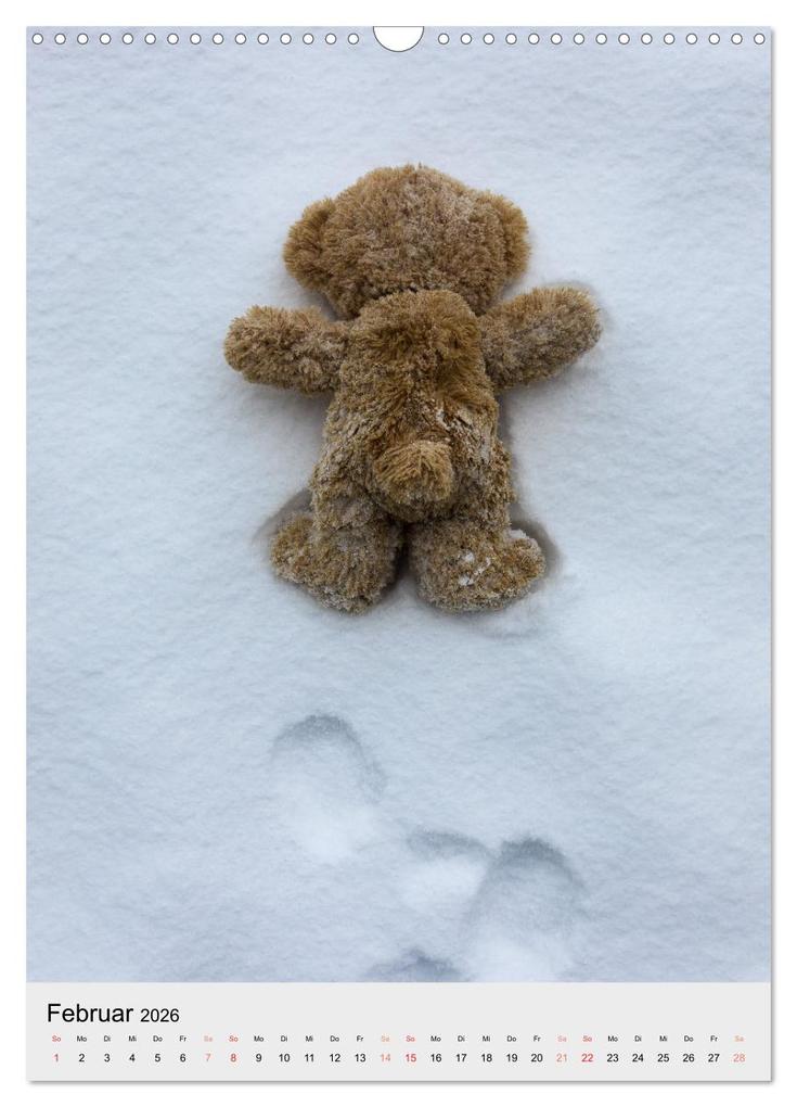 Weitere Ansicht: Travelling Teddy liebt es Bunt (Wandkalender 2026 DIN A3 hoch), CALVENDO Monatskalender | Christian Kneidinger, Calvendo