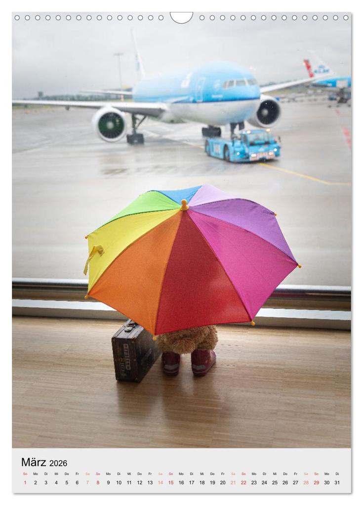 Weitere Ansicht: Travelling Teddy liebt es Bunt (Wandkalender 2026 DIN A3 hoch), CALVENDO Monatskalender | Christian Kneidinger, Calvendo